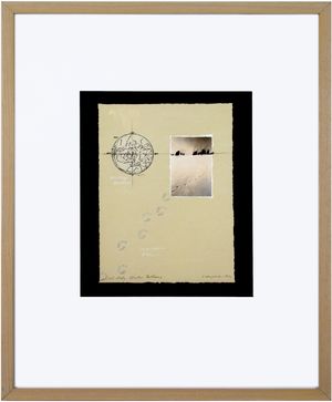 Field Study - Winter Patterns