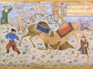 Kamal al-Din Behzad, Camel Fight, Between 1525 and 1560. Golestan Palace Library. License